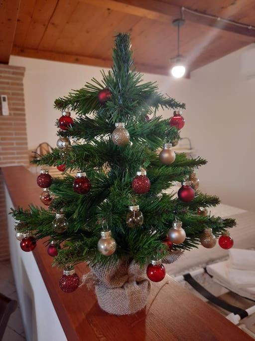 Casa Dantemini Casa Fiera Di Piana Del Solerm Fiumicino Appartamento Roma